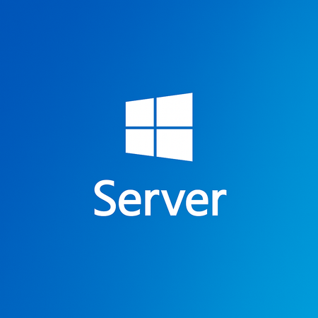 Microsoft Server