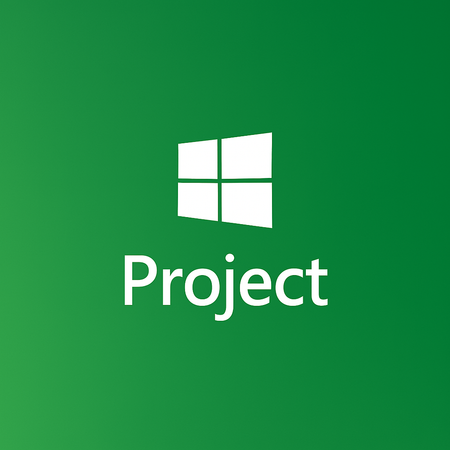 Project